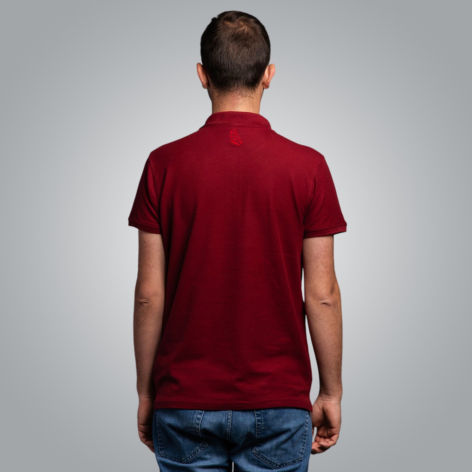 T-shirt with collar "Gizdav"