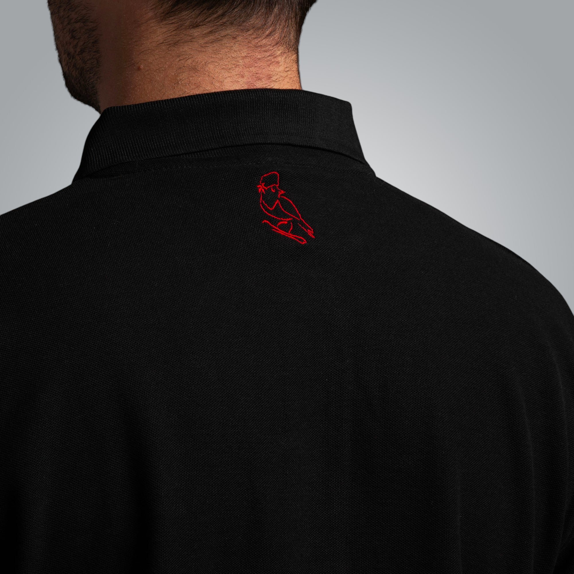 T-shirt with collar "Northern"