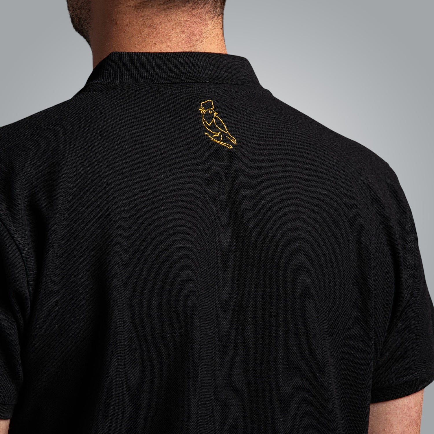 T-shirt with collar &quot;Northern&quot;