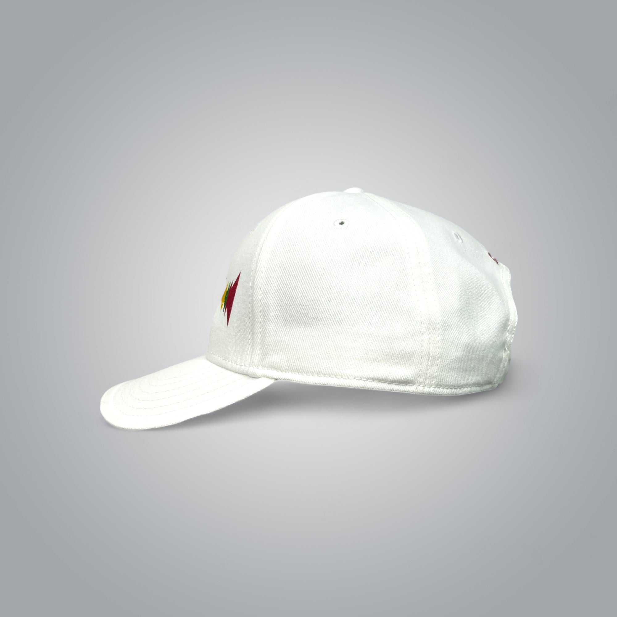Beanie hat
